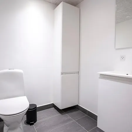 City Apartments アパート ホルステブロー